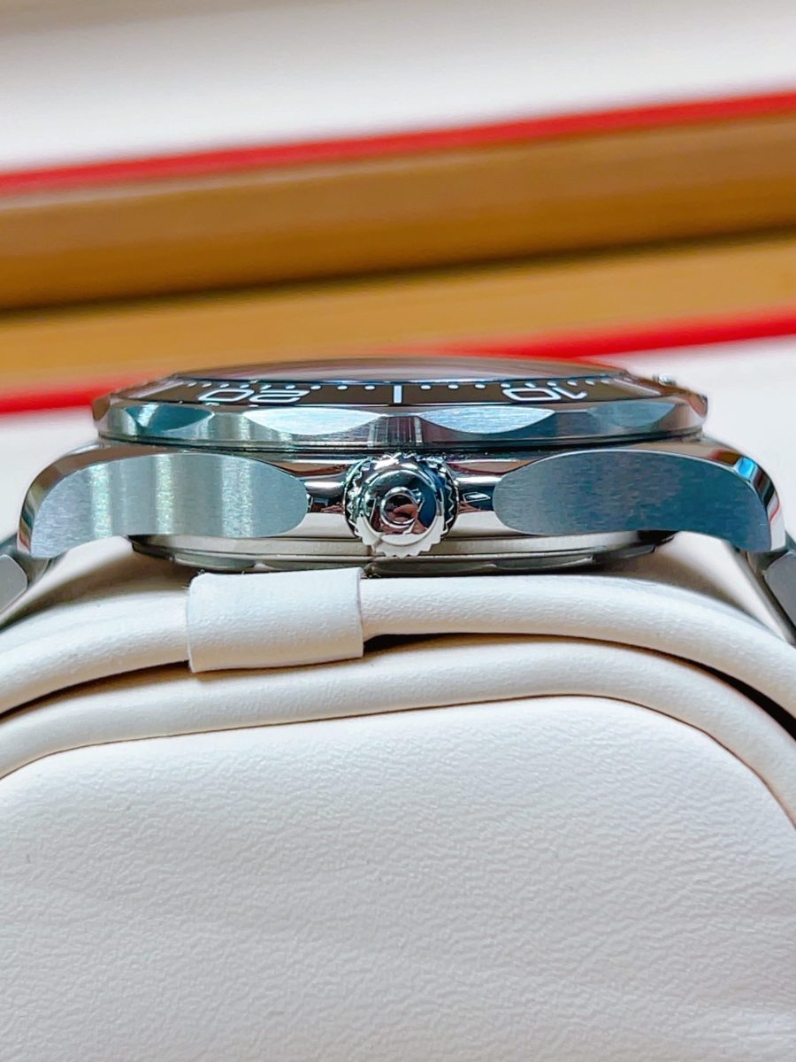 2021 Omega Seamaster Professional