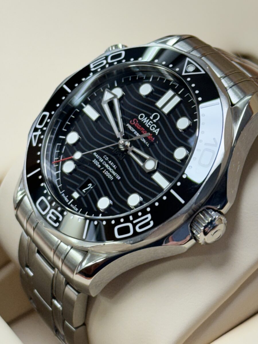 2021 Omega Seamaster Professional