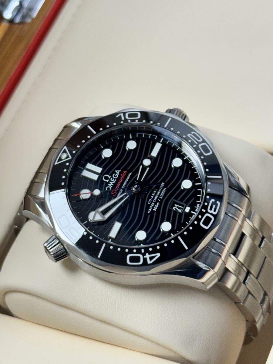 2021 Omega Seamaster Professional