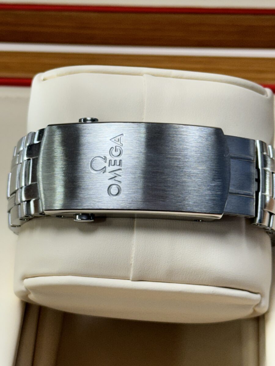 2021 Omega Seamaster Professional