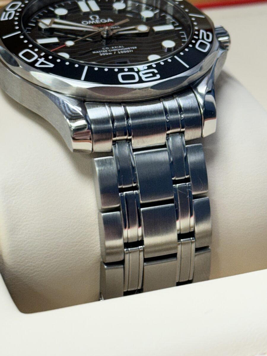 2021 Omega Seamaster Professional