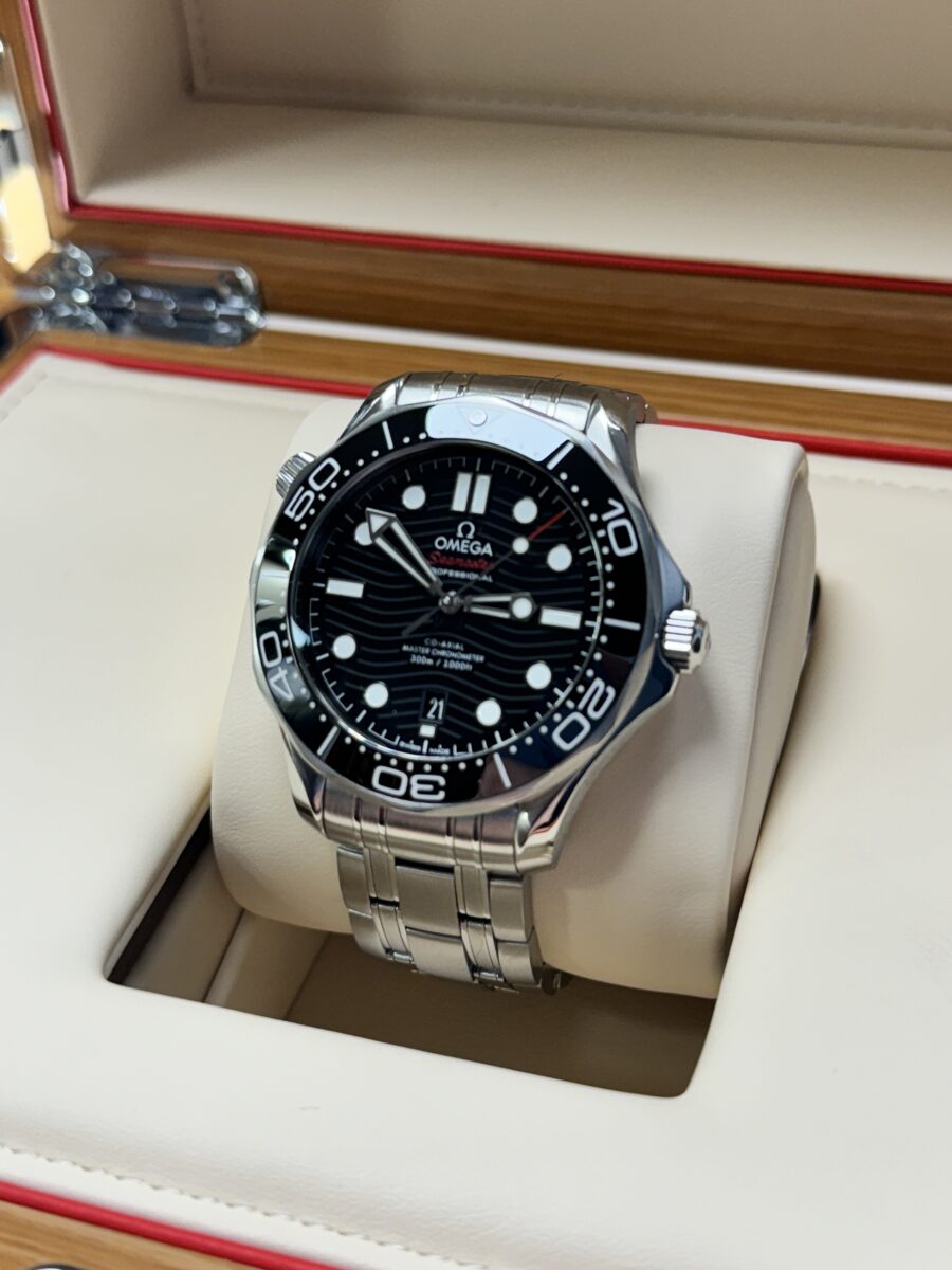2021 Omega Seamaster Professional