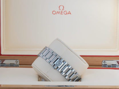 Omega Aqua Terra